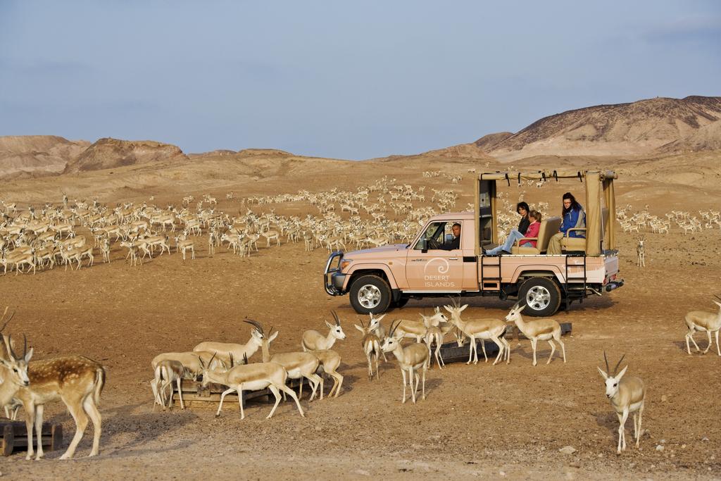 Anantara Sir Bani Yas Island Al Yamm Villa Resort, Абу Дабі, Об'єднані Арабські Емірати мініатюра 40