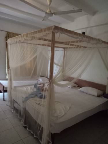 Polina Beach Resort — Хіккадува, Шрі Ланка мініатюра 17
