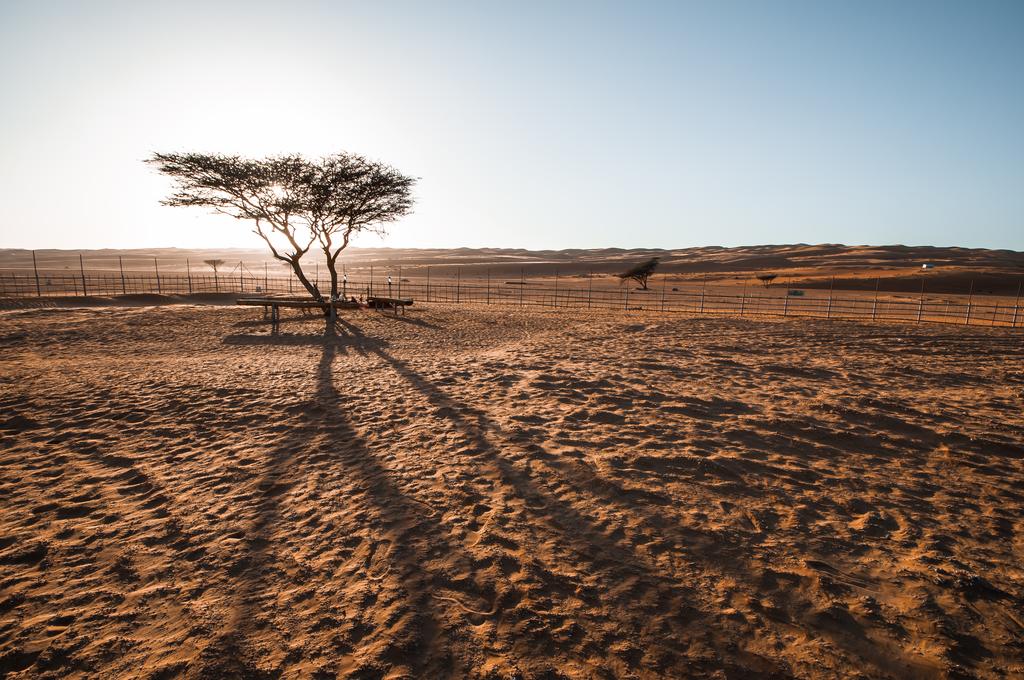 Sama al Wasil Desert Camp — Вахіба, Оман мініатюра 6