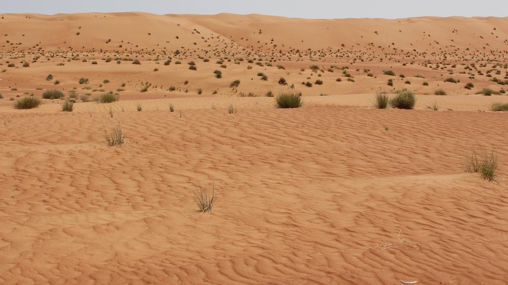 Sama al Wasil Desert Camp — Вахіба, Оман мініатюра 21