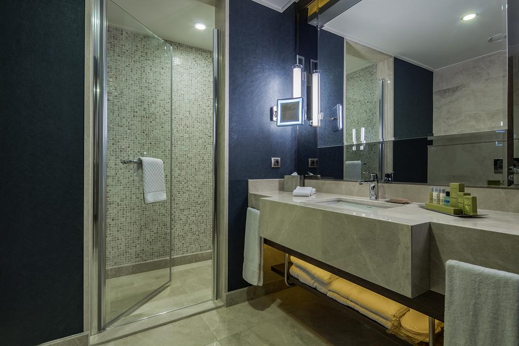 Double Tree by Hilton Istanbul Topkapi — Стамбул, Туреччина мініатюра 14