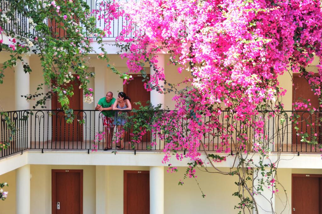 Mavruka Hotel — Фетхіє, Туреччина мініатюра 29