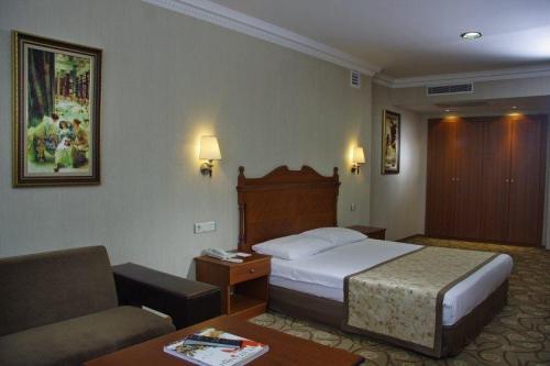 Lady Diana Hotel — Стамбул, Туреччина мініатюра 27