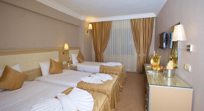 Grand Emin Hotel — Стамбул, Туреччина мініатюра 21