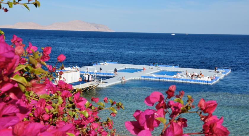 Domina Coral Bay El Sultan — Шарм-ель-Шейх, Єгипет мініатюра 327