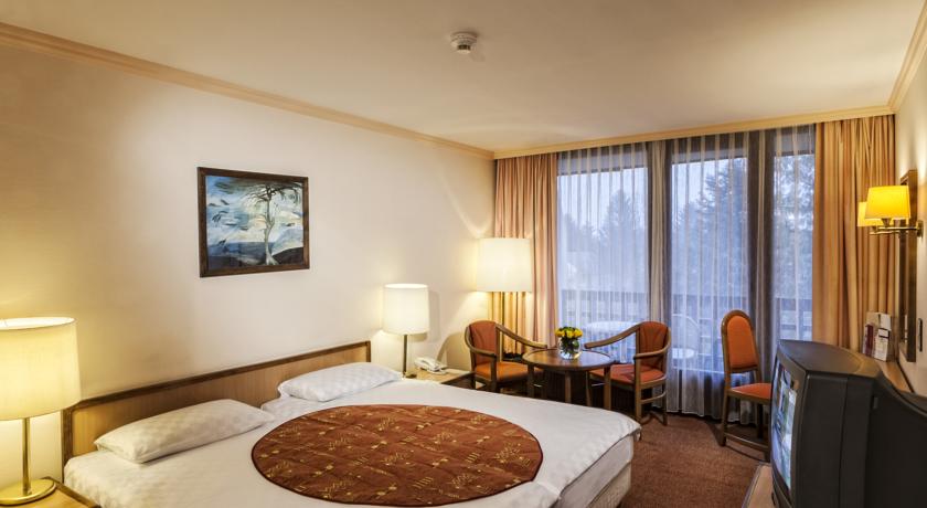 Ensana Thermal Sarvar Health Spa Hotel — Шарвар, Угорщина мініатюра 44