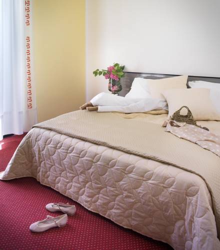 Boemia Hotel — Річчоне, Італія мініатюра 32
