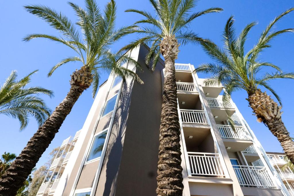 Paloma Perissia Hotel, Кумкой, Туреччина мініатюра 48