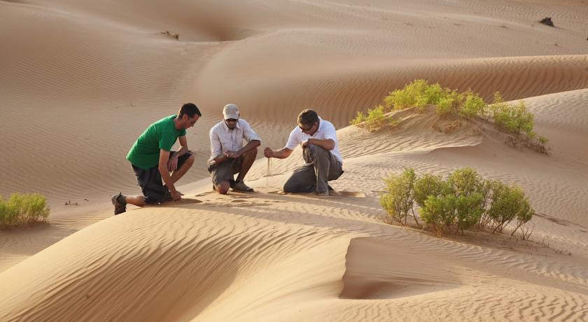 Qasr Al Sarab Desert Resort by Anantara, Абу Дабі, Об'єднані Арабські Емірати мініатюра 43