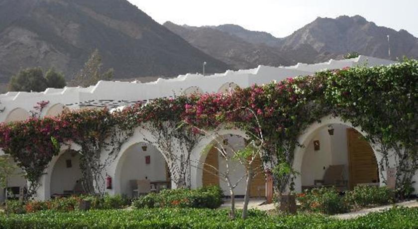 Retac Qunay Dahab Resort And Spa — Дахаб, Єгипет мініатюра 24