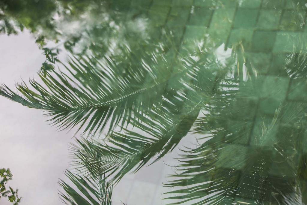 Four Seasons Resort Maldives at Kuda Huraa — Північний Мале Атол, Мальдіви мініатюра 19