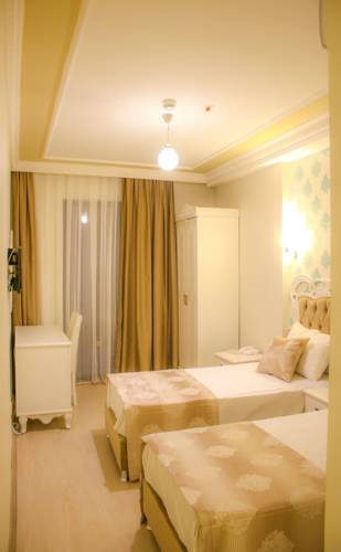 Deluxe Newport Hotel — Стамбул, Туреччина мініатюра 8