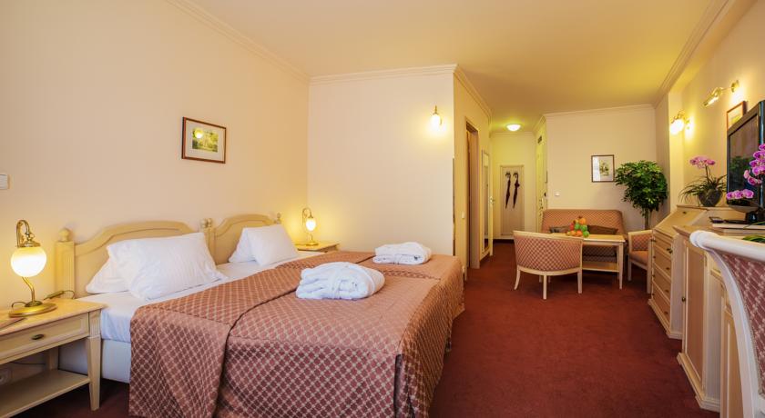 Interhotel Central — Карлові Вари, Чехія мініатюра 14