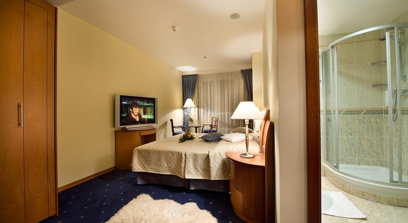 Ramada Prague City Centre — Прага, Чехія мініатюра 37
