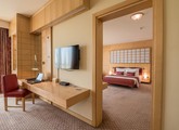 Radisson Blu Hotel Doha — Доха, Катар мініатюра 21