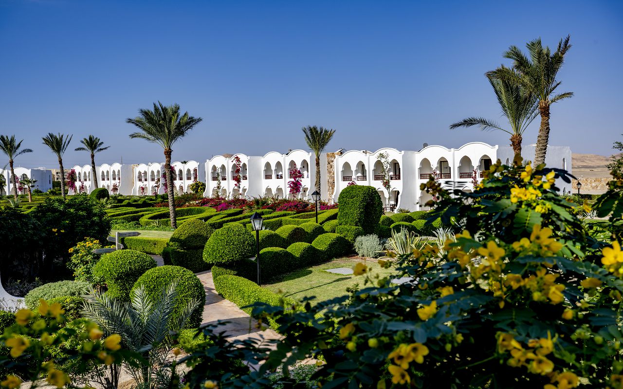 Gorgonia Beach Resort — Марса Алам, Єгипет мініатюра 6