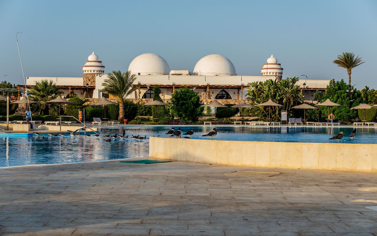 Gorgonia Beach Resort — Марса Алам, Єгипет мініатюра 7