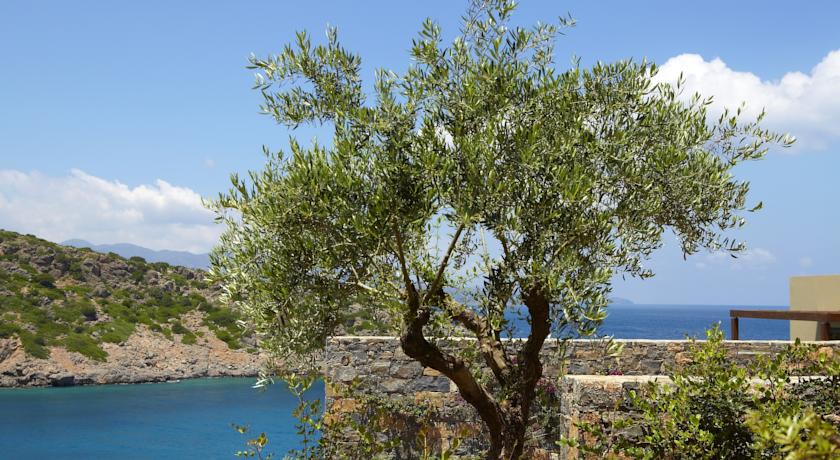 Daios Cove Luxury Resort & Villas — о. Крит, Греція мініатюра 276