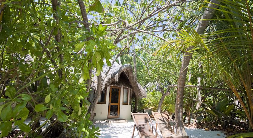 Makunudu Island Resort — Північний Мале Атол, Мальдіви мініатюра 9
