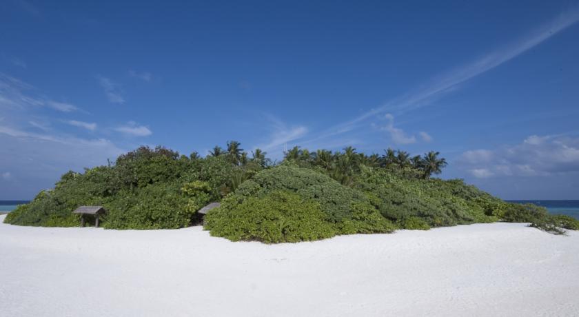 Makunudu Island Resort — Північний Мале Атол, Мальдіви мініатюра 13