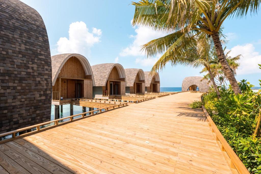 Maldives Madivaru — Арі (Аліфу) атол, Мальдіви мініатюра 8