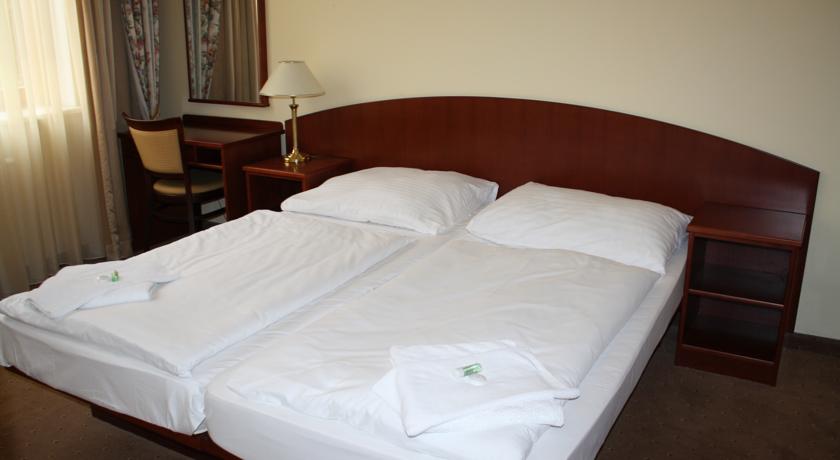 Petr Hotel — Карлові Вари, Чехія мініатюра 23