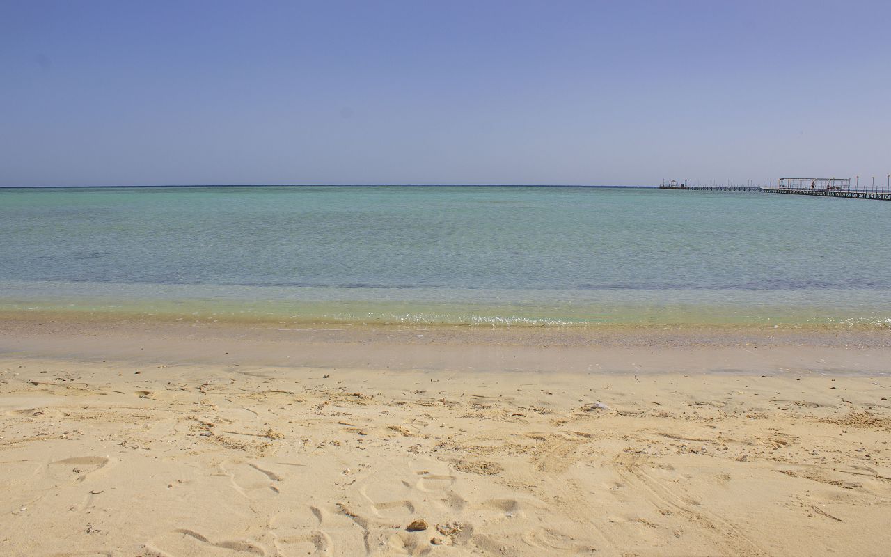 Protels Beach Club & Spa Resort — Марса Алам, Єгипет мініатюра 8