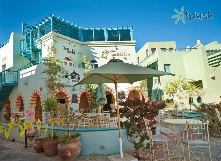 Turtle's Inn Hotel — Ель Гуна, Єгипет — фото 1
