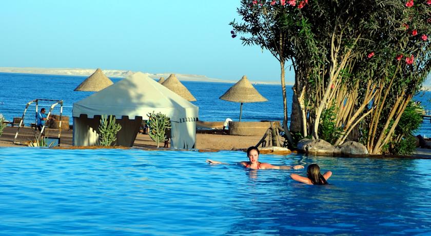 Parrotel Beach Resort — Набк Бей, Єгипет мініатюра 10