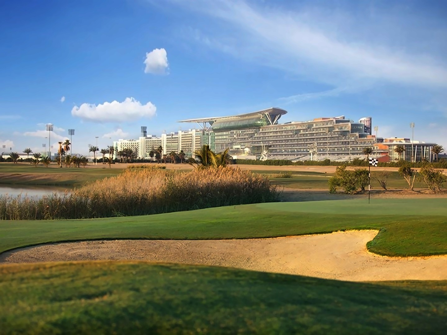 The Meydan Hotel — Дубаї, Об'єднані Арабські Емірати мініатюра 86
