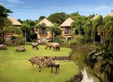 Mara River Safari Lodge — о. Балі, Індонезія мініатюра 83