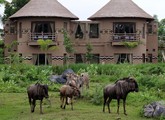 Mara River Safari Lodge — о. Балі, Індонезія мініатюра 88