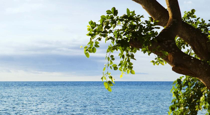 Le Jadis Beach Resort & Wellness Mauritius — Тер-Руж, Маврикій мініатюра 7
