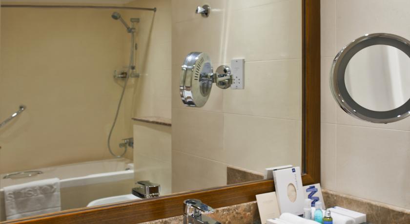 Jumeira Rotana Dubai — Дубаї, Об'єднані Арабські Емірати мініатюра 149