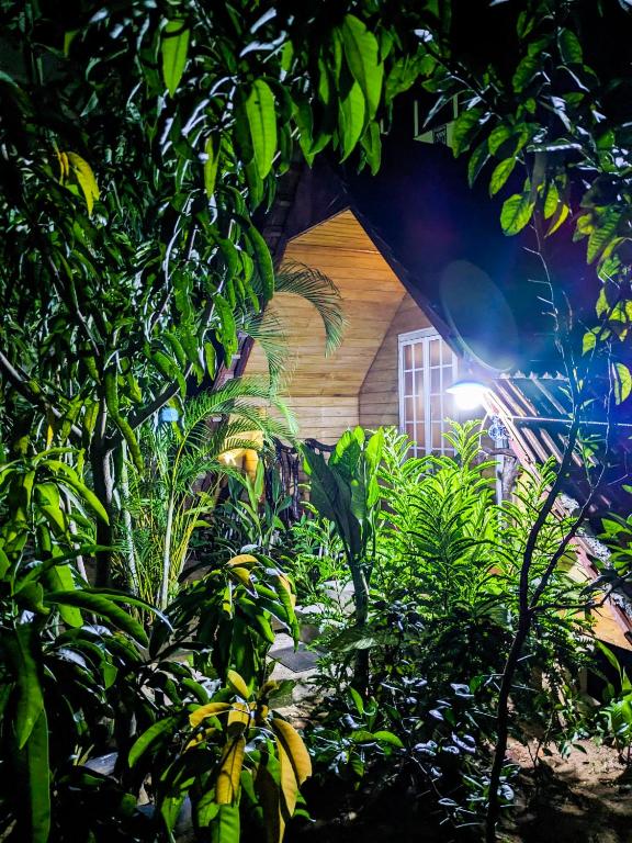 The Emerald Guest House & Villa — Унаватуна, Шрі Ланка мініатюра 14