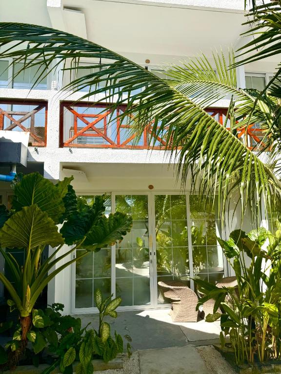 Sands Grand Dhigurah — Арі (Аліфу) атол, Мальдіви мініатюра 8