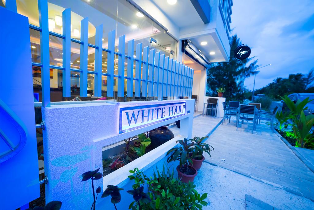 White Harp Beach Hulhumale — о. Хулхумале, Мальдіви мініатюра 19