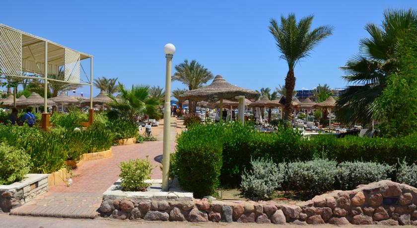 Cataract Layalina Resort — Наама Бей, Єгипет мініатюра 13