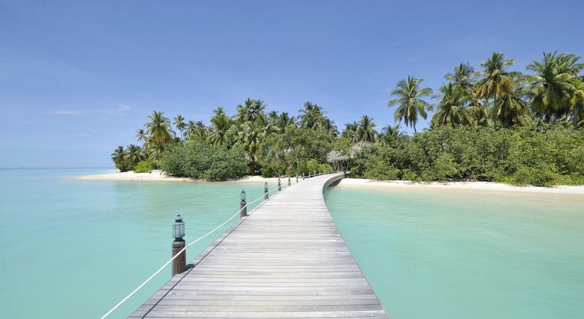 Ayada Maldives — Гаафу Даалу Атол, Мальдіви мініатюра 25