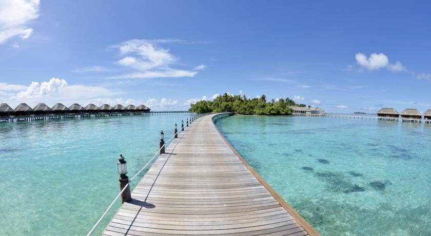 Ayada Maldives — Гаафу Даалу Атол, Мальдіви мініатюра 43