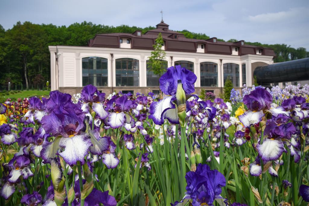 Iris — нижнє Солотвино, Україна мініатюра 62