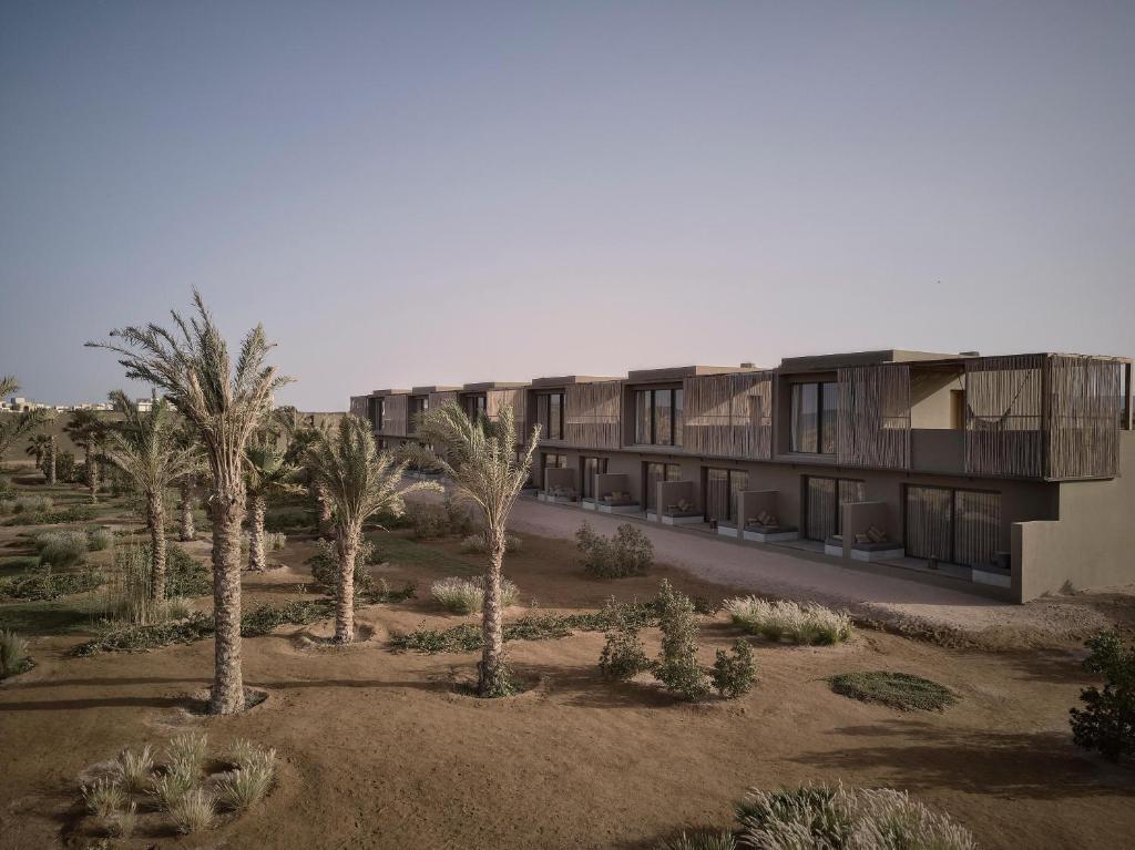 Casa Cook El Gouna — Ель Гуна, Єгипет мініатюра 10