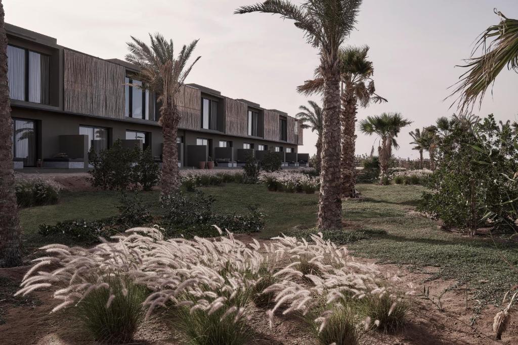 Casa Cook El Gouna — Ель Гуна, Єгипет мініатюра 11