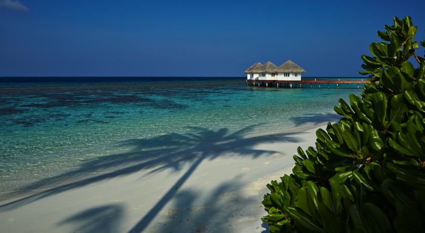 Cora Cora Maldives — Раа Атол, Мальдіви мініатюра 116