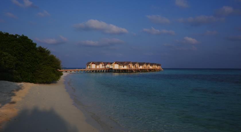 Cora Cora Maldives — Раа Атол, Мальдіви мініатюра 130