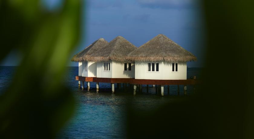 Cora Cora Maldives — Раа Атол, Мальдіви мініатюра 139