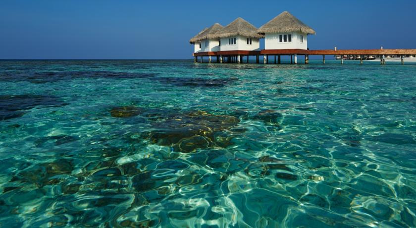 Cora Cora Maldives — Раа Атол, Мальдіви мініатюра 140