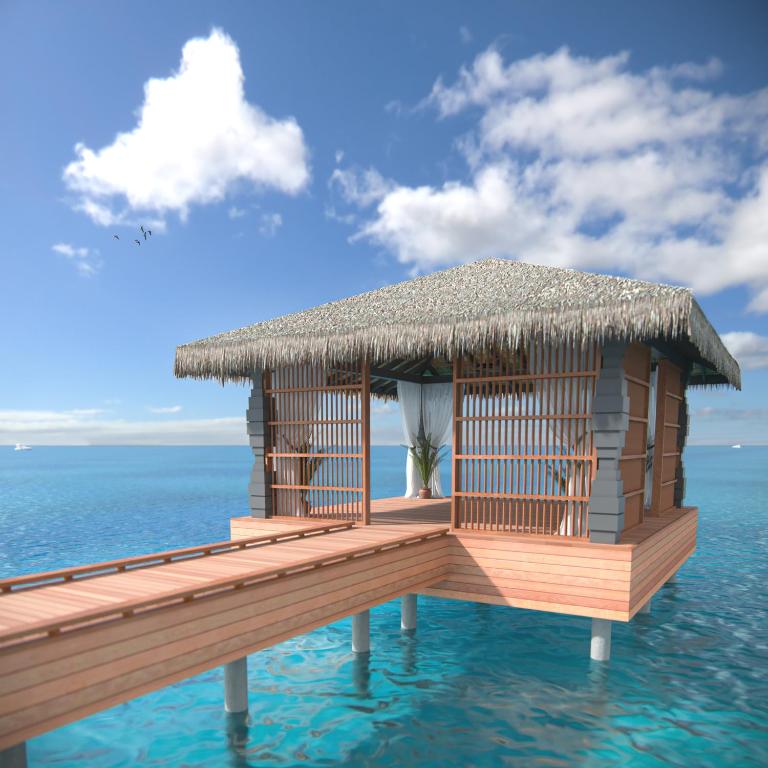 Cora Cora Maldives — Раа Атол, Мальдіви мініатюра 113