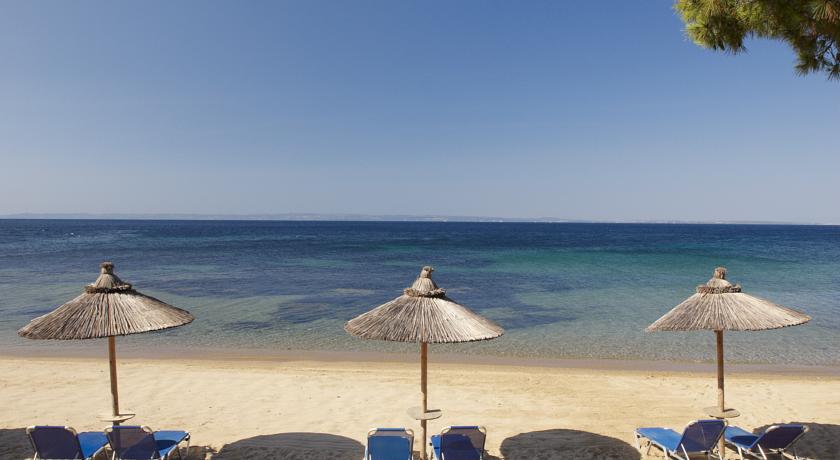 Blue Dolphin Hotel — Халкідікі, Греція мініатюра 7