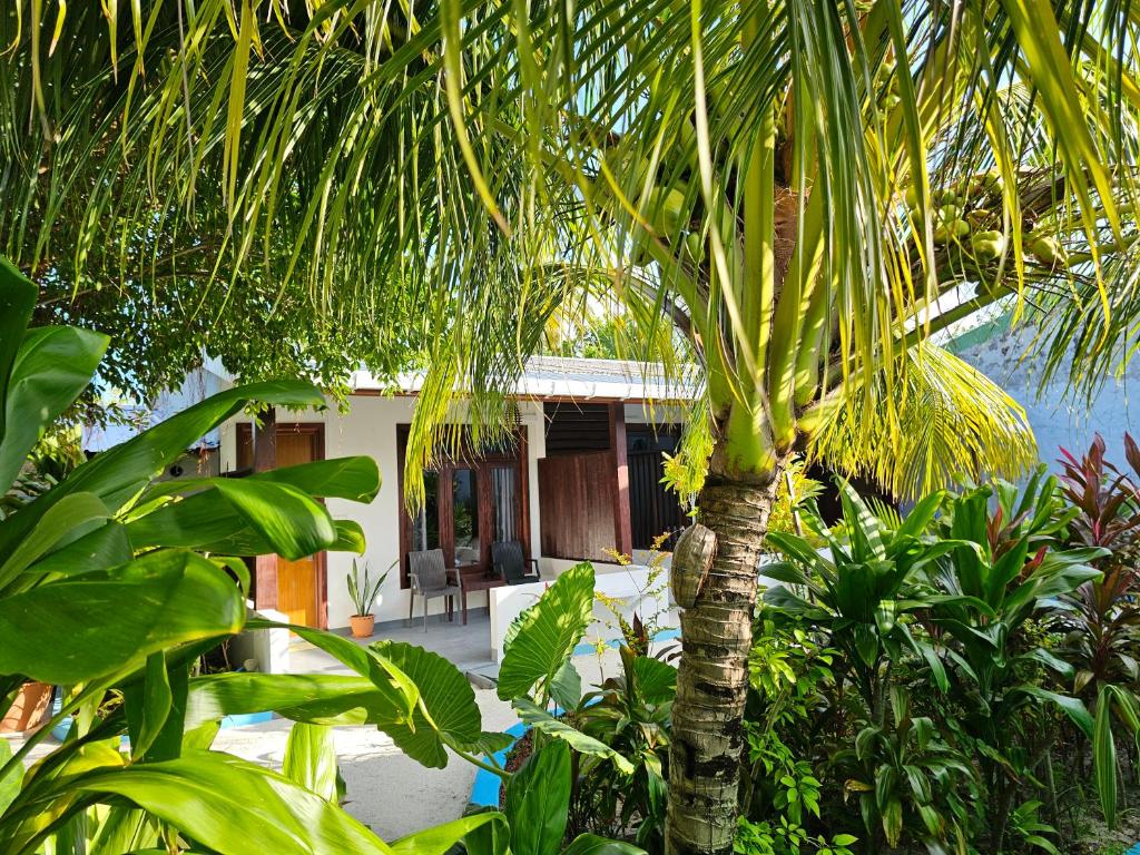Garden Rooms by Lagoon View Bodufolhudhoo — Арі (Аліфу) атол, Мальдіви — фото 1